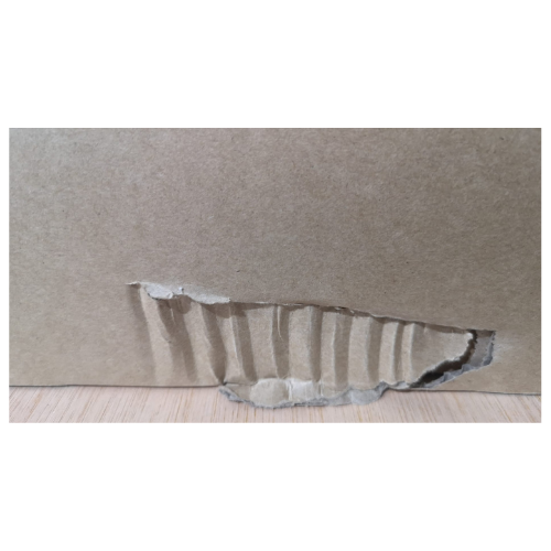 Clearance Cloudplate T5